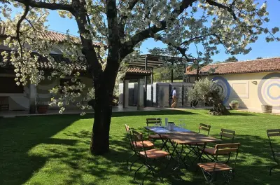 Motovun wine, truffle & olive oil tasting tour: 10 hours