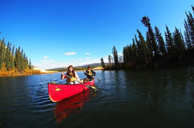 Yukon été 5 jours : Randonnée, canoë, faune et vol