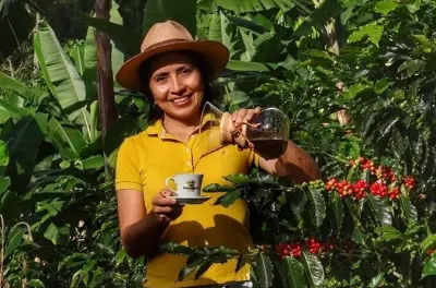 Ferme de café à La Unión : Apprenez à préparer le café colombien