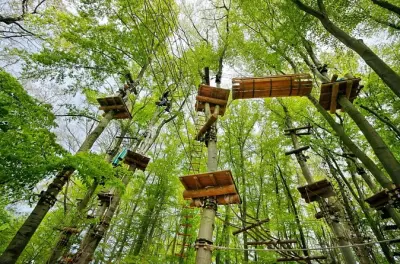 Ziplining in Potsdam: 2 hours climbing with optional zip line