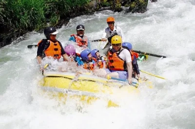 Vive la emoción del rafting en el río rogue con guía desde ashland. equipo completo, recogida y almuerzo junto al río incluidos. reserva tu aventura ya.