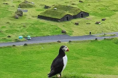 Tour des macareux sur l'île Heimaey en trottinette électrique