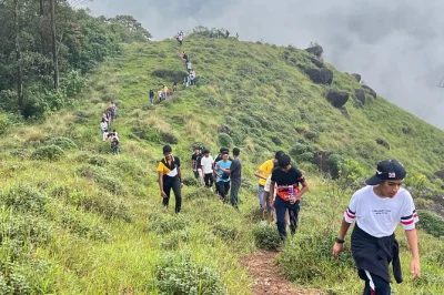 Wandern sie durch die teeplantagen von munnar, die graslandschaften der lakshmi hills und den shola-wald. geführte geschichten, vogelbeobachtung und panoramablicke inklusive.