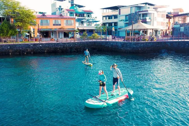 Paddle SUP à Shipwreck Bay avec lions de mer et iguanes