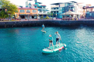 SUP-Tour in Shipwreck Bay: Paddeln mit Seelöwen und Leguanen