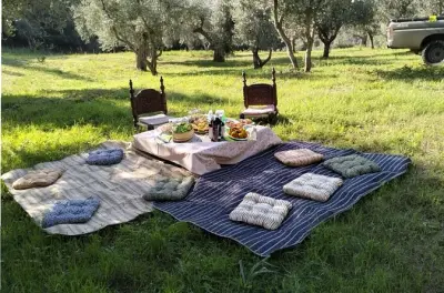 Pique-nique gourmet à Matera : Expérience vin et fromage dans un olivier