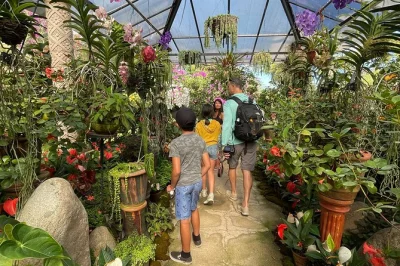 Puerto vallarta botanischer garten, horcones fluss schwimmen, lokale tequila probieren, gerettete tiere treffen. kleine gruppen mit abholung inklusive.
