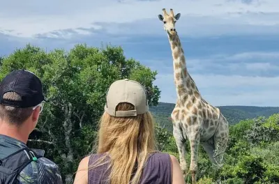 Addo Elephant Park y paseo con jirafas desde Port Elizabeth