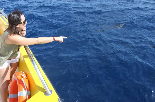 Sunset Dolphin Watching Tour Lanzarote: Biosfera Jet