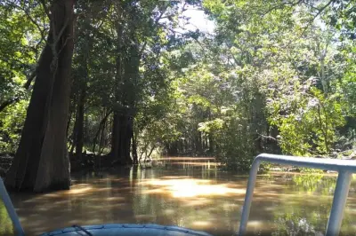 Selva amazónica desde Manaos: 4 días con lodge y campamento