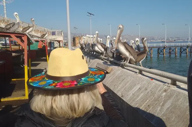 Valparaíso Märkte Tour: Fünf Stationen mit Ceviche inklusive