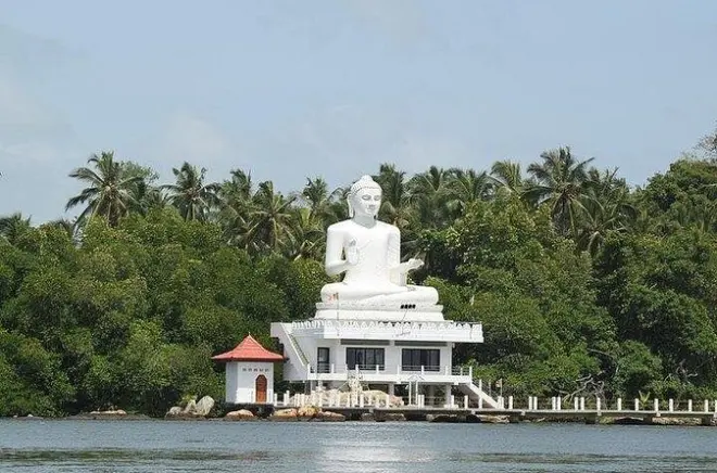 Bentota River Boat Safari: Private Lagoon with Crocodiles