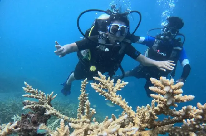 Scuba Diving in Havelock: One-to-One Beginner Instruction