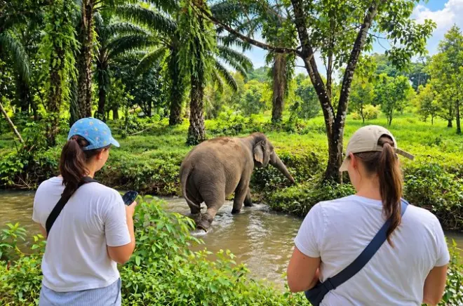 Khao Lak Elephant Sanctuary tour: Small-group observation
