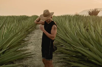 Follow the mezcal trail from oaxaca to mitla & matatlán, walk agave fields, see artisan distilling, taste unlimited mezcal, and share a traditional meal—all with local pickup.