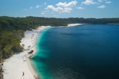Feel the sand under your feet at lake mckenzie, float in eli creek, and explore the maheno shipwreck on a k'gari day trip from noosa with lunch and local guide.
