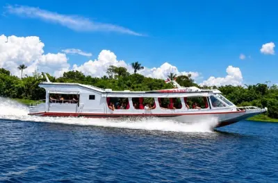 Río Amazonas en Manaus: Encuentro de aguas y delfines rosados