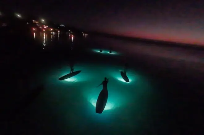 Paddleboard al amanecer en Bacalar: Laguna iluminada