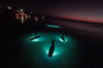 Bacalar Sunrise Paddleboard Tour: Leuchtende Lagune im Morgengrauen