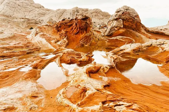 White Pocket guided hike: Small group off-road tour from Kanab