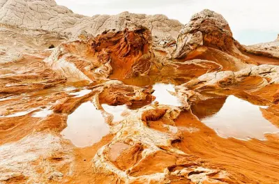 White Pocket: Escursione off-road in piccolo gruppo da Kanab