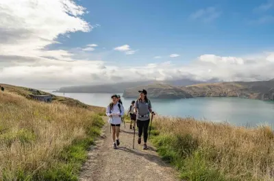 Godley Head: Camminata costiera con rovine WW2 e vista porto