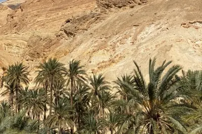 Sud Tunisia: Sahara, rovine romane e campo nel deserto in 2 giorni