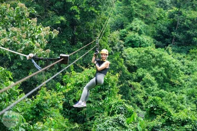Sip coffee high in the koh samui jungle, cross a swaying bridge, and zipline above waterfalls. includes hotel pickup, safety gear, and english-speaking guide.