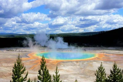 Descubre yellowstone en un tour privado desde west yellowstone: vapor, fauna salvaje y senderos secretos. incluye entrada al parque, guía local y almuerzo picnic.