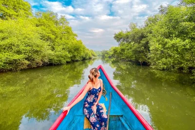Wander through chorao island’s mangroves, spot rare birds at salim ali bird sanctuary, share goan snacks, and hear stories with a local guide. includes boat ride.