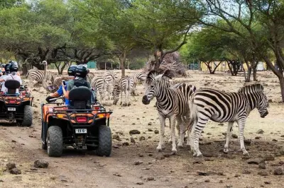 Wild South West Tour Mauritius: Safari, Casela Park & Le Morne
