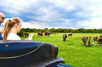 Kaudulla Nationalpark Safari: Wilde Elefanten in Sri Lanka