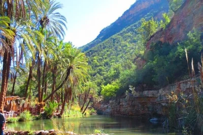 Entdecke die honey road ins paradise valley, schlendere durch taghazouts surfer-viertel und genieße frische meeresfrüchte. privater transfer ab agadir inklusive.