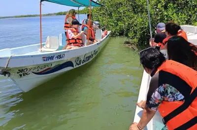 Rio Lagartos Bootstour: Krokodile, Flamingos & Maya-Schlammbad