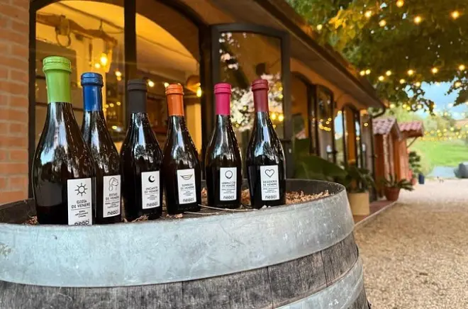 Craft beer tasting in Siena: 6 beers on a working farm