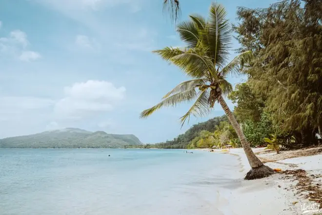 Snorkeling Pele Island from Port Vila: Dolphins and reef