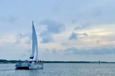 Disfruta de un paseo en catamarán estable en orange beach, navegando por bahías tranquilas con tripulación local. observa delfines y aves marinas de cerca en un crucero relajado de dos horas, con t