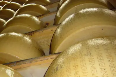 Modena Food Valley tour: Parmigiano, Lambrusco and balsamic lunch