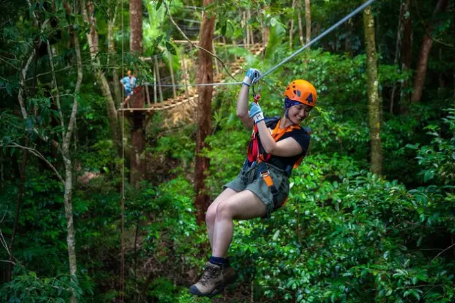 Cape Tribulation Ziplining: 2 Stunden im Regenwald-Canopy