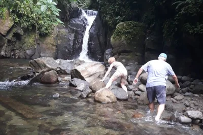 Découvrez la cascade rafraîchissante de martinique, randonnez dans la forêt tropicale, dégustez du rhum frais à la distillerie depaz et profitez d’un petit groupe convivial—entrée incluse.