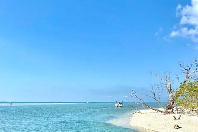 Private Tiki-Bootstour Fort Myers Beach: Ankerplatz Lovers Key