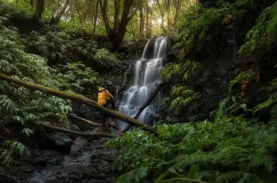 Tour de fotografía en la isla Terceira: Aprende técnicas al amanecer y atardecer