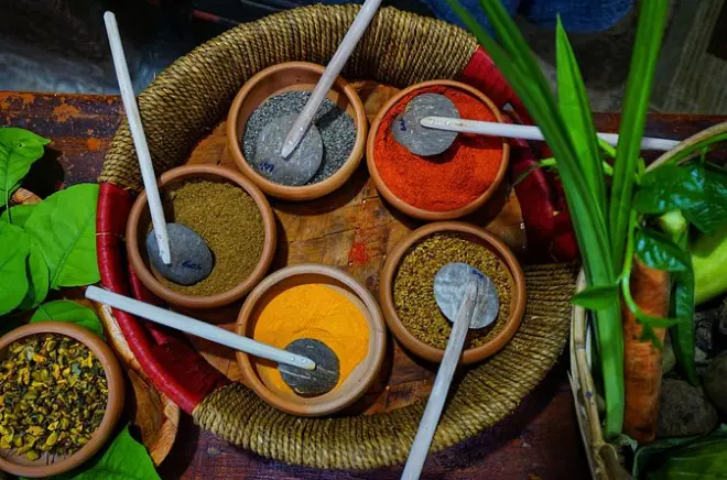 Cours de cuisine bio à Sigiriya : Préparez un curry sri lankais