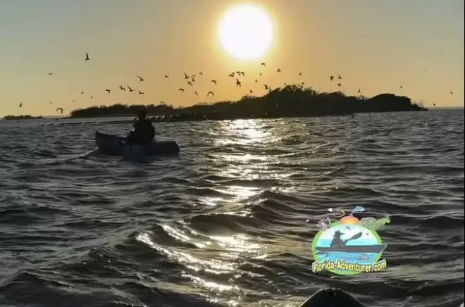 Kayak en Titusville: Laguna Indian River bioluminiscente