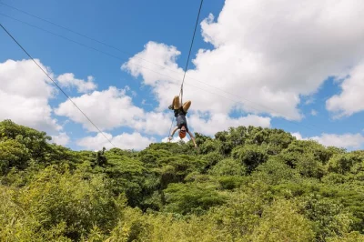 Découvrez kauai en kayak sur la rivière hule’ia, survolez la jungle en tyrolienne et nagez sous des cascades—déjeuner pique-nique, équipement et guides locaux inclus pour une journée complèt