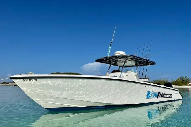 Snorkel en New Providence con alquiler privado de barco de 10 metros