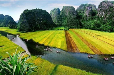 Descubre ninh binh en un día desde hanoi: recorre en bici campos tranquilos, navega las cuevas del río tam coc, sube a mua cave y disfruta un almuerzo local con transporte incluido.