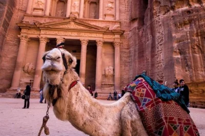 Explore petra’s ancient wonders and wadi rum’s desert on a full-day tour from aqaba. includes guided walk, jeep ride, lunch, and all entry fees.