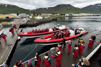 Observação de baleias em RIB de Dalvik, perto de Akureyri