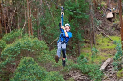 Sinta a adrenalina no zipline de haleakala em maui — seis tirolesas, pontes de madeira e o aroma do eucalipto, com todo o equipamento e guia local inclusos.